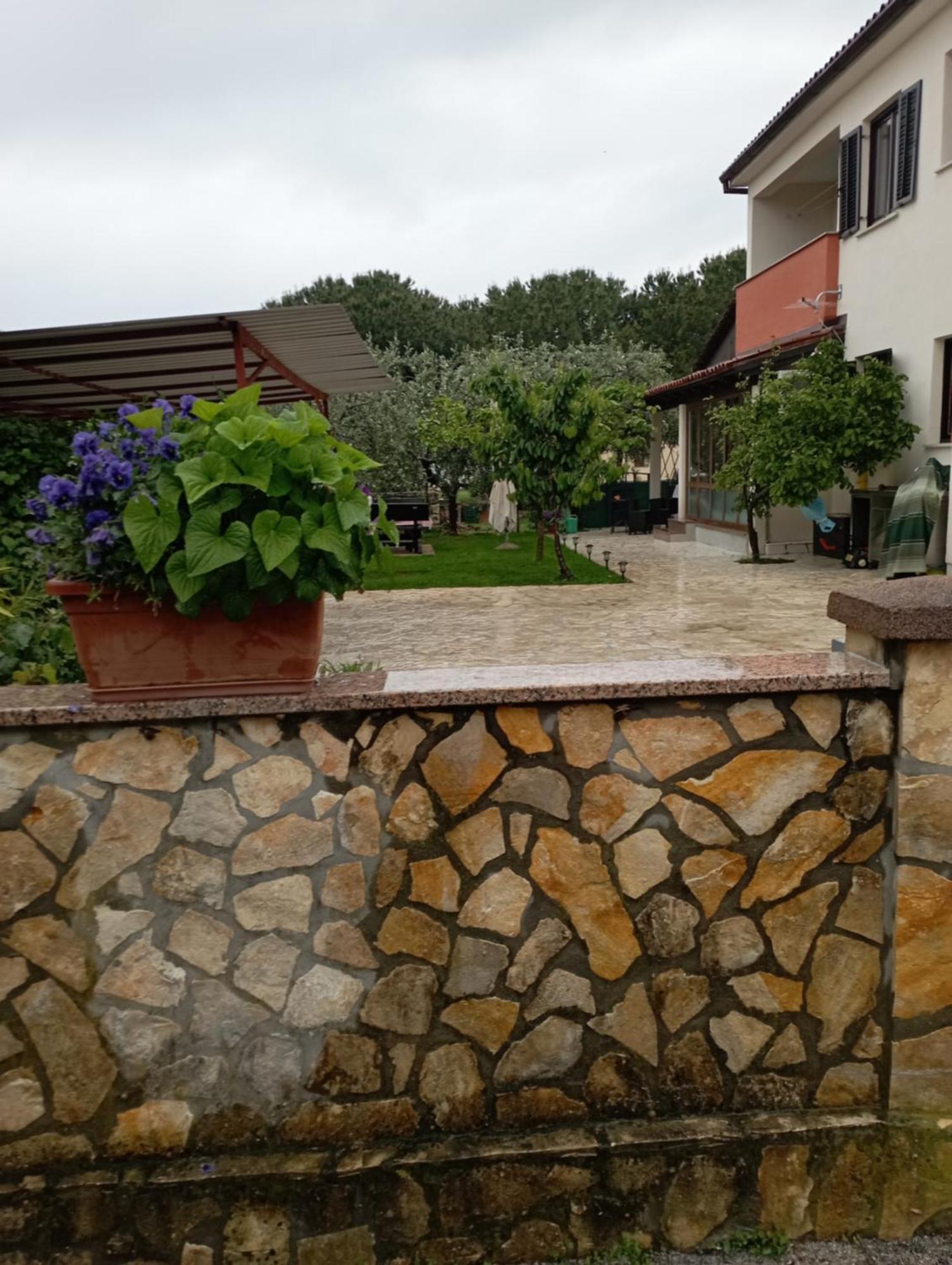 Apartments Grahovac Umag Kültér fotó