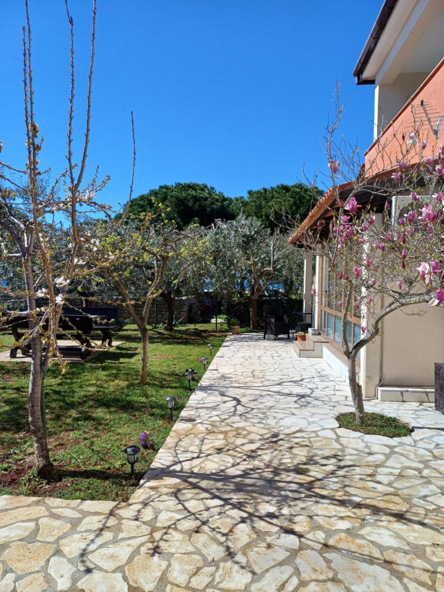 Apartments Grahovac Umag Kültér fotó