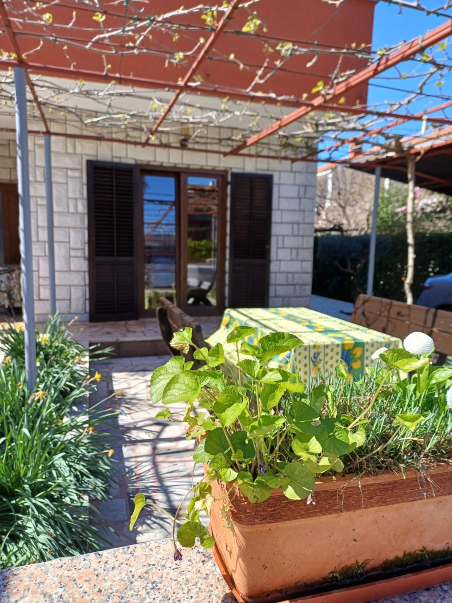 Apartments Grahovac Umag Kültér fotó